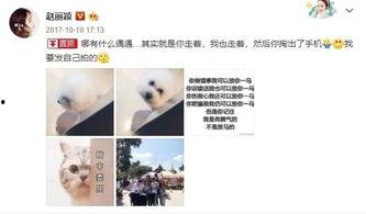 吃瓜闹肚子视频下载,网友热议健康饮食与娱乐界限