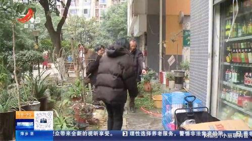 成都花园吃瓜事件视频