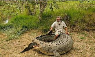 郭杰瑞吃瓜鳄鱼视频,惊险刺激的美食冒险！