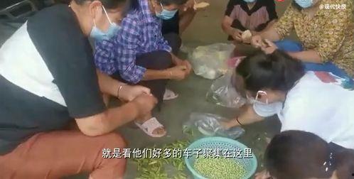 魏县孩子吃瓜事件真相视频,真相视频曝光背后的惊人内幕